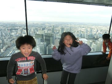 横浜ランドマークタワー 69階展望フロア スカイガーデンに投稿された画像（2025/11/23）