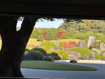 足立美術館に投稿された画像（2025/11/23）