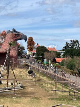 伊豆シャボテン動物公園に投稿された画像（2025/11/23）