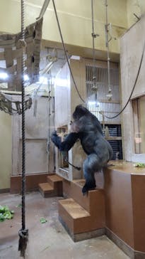 名古屋市東山動植物園に投稿された画像（2025/11/23）