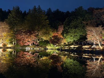 国営昭和記念公園 秋の夜散歩に投稿された画像（2025/11/23）