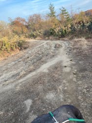 那須ワールドモンキーパークに投稿された画像（2025/11/23）