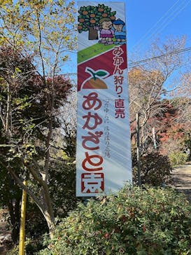 あかざと園に投稿された画像（2025/11/23）