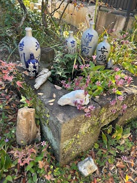 あかざと園に投稿された画像（2025/11/23）