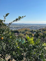 あかざと園に投稿された画像（2025/11/23）