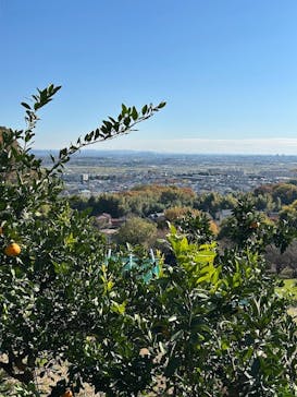 あかざと園に投稿された画像（2025/11/23）