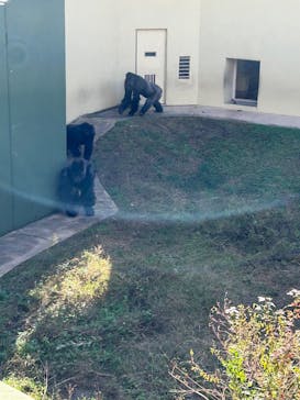 名古屋市東山動植物園に投稿された画像（2025/11/23）