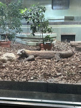 名古屋市東山動植物園に投稿された画像（2025/11/23）