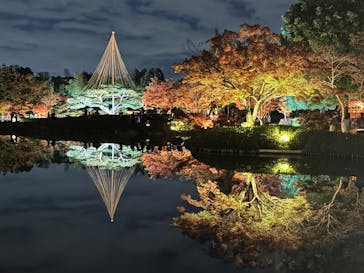 国営昭和記念公園 秋の夜散歩に投稿された画像（2025/11/23）