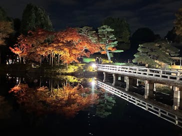 国営昭和記念公園 秋の夜散歩に投稿された画像（2025/11/23）