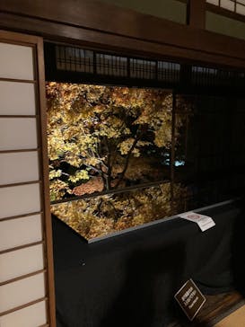 江戸東京たてもの園に投稿された画像（2025/11/23）