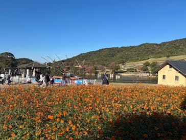 淡路ファームパーク イングランドの丘に投稿された画像（2025/11/23）