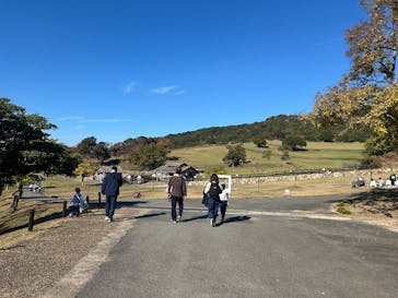 淡路ファームパーク イングランドの丘に投稿された画像（2025/11/23）