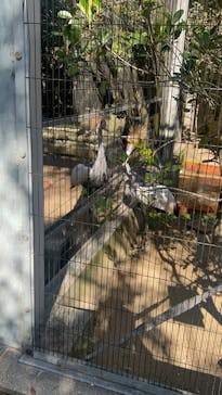 淡路ファームパーク イングランドの丘に投稿された画像（2025/11/23）