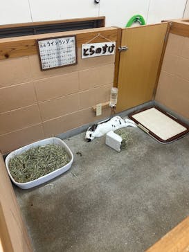 淡路ファームパーク イングランドの丘に投稿された画像（2025/11/23）