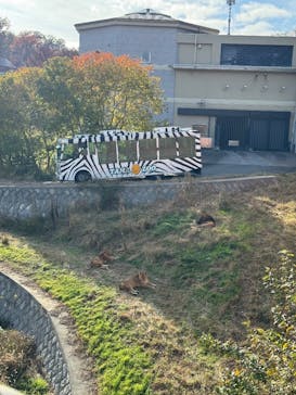 多摩動物公園に投稿された画像（2025/11/23）