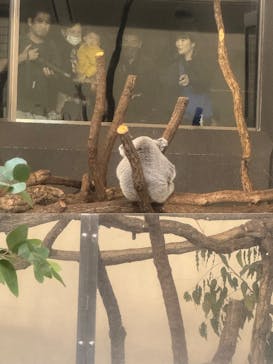 多摩動物公園に投稿された画像（2025/11/23）