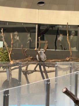 多摩動物公園に投稿された画像（2025/11/23）