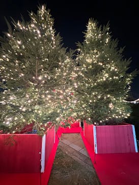 Christmas Market in 横浜赤レンガ倉庫 2025に投稿された画像（2025/11/23）