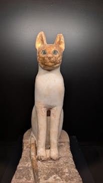 ACN ラムセス大王展 ファラオたちの黄金に投稿された画像（2025/11/23）