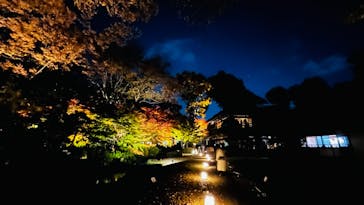 江戸東京たてもの園に投稿された画像（2025/11/23）