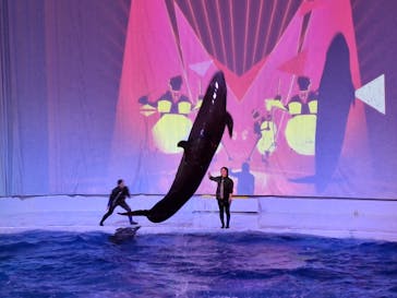 アクアワールド茨城県大洗水族館に投稿された画像（2025/11/23）