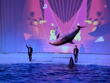 アクアワールド茨城県大洗水族館に投稿された画像（2025/11/23）