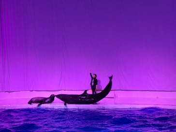 アクアワールド茨城県大洗水族館に投稿された画像（2025/11/23）