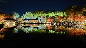 国営昭和記念公園 秋の夜散歩に投稿された画像（2025/11/23）