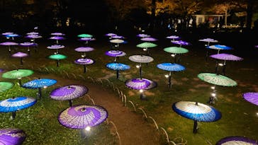 国営昭和記念公園 秋の夜散歩に投稿された画像（2025/11/23）