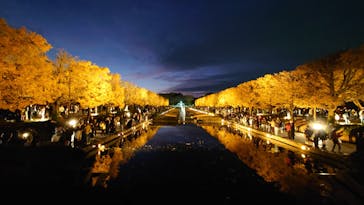 国営昭和記念公園 秋の夜散歩に投稿された画像（2025/11/23）