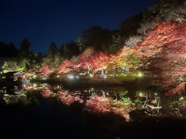 名古屋市東山動植物園に投稿された画像（2025/11/23）