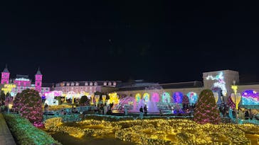 神戸イルミナージュに投稿された画像（2025/11/23）