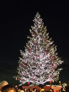 Christmas Market in 横浜赤レンガ倉庫 2025に投稿された画像（2025/11/23）