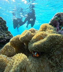 オースリーシュノーケル宮古島に投稿された画像（2025/11/23）