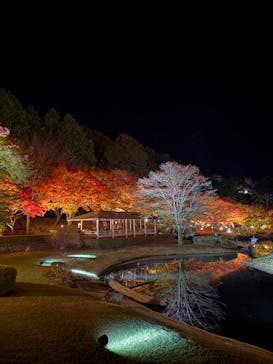 修善寺虹の郷に投稿された画像（2025/11/23）