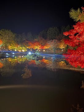 修善寺虹の郷に投稿された画像（2025/11/23）