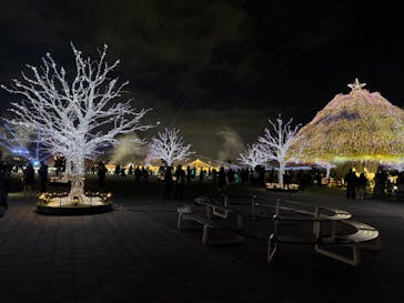 東京メガイルミに投稿された画像（2025/11/23）