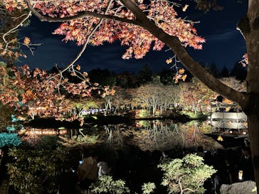 国営昭和記念公園 秋の夜散歩に投稿された画像（2025/11/23）