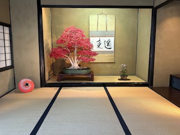 国営昭和記念公園 秋の夜散歩に投稿された画像（2025/11/23）