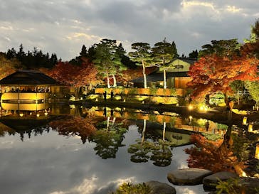 国営昭和記念公園 秋の夜散歩に投稿された画像（2025/11/23）