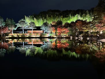 国営昭和記念公園 秋の夜散歩に投稿された画像（2025/11/23）