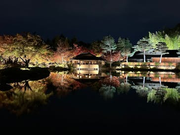 国営昭和記念公園 秋の夜散歩に投稿された画像（2025/11/23）