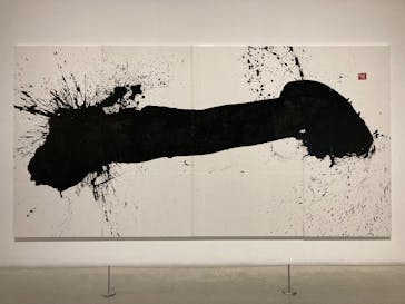 金沢21世紀美術館に投稿された画像（2025/11/23）