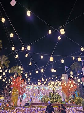 ひらかたパークに投稿された画像（2025/11/23）