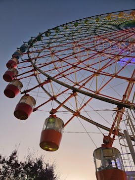 ひらかたパークに投稿された画像（2025/11/23）