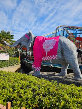 ひらかたパークに投稿された画像（2025/11/23）