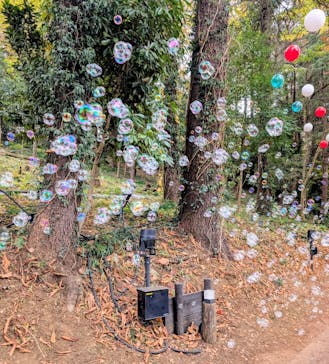 ムーミンバレーパークに投稿された画像（2025/11/23）