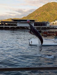 あわしまマリンパークに投稿された画像（2025/11/23）