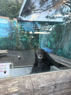 伊豆シャボテン動物公園に投稿された画像（2025/11/23）